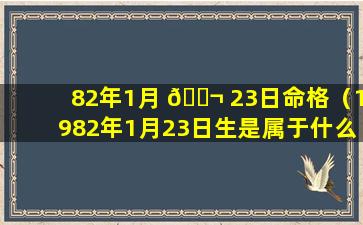 82年1月 🐬 23日命格（1982年1月23日生是属于什么）